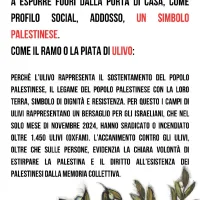 2025-05-30 Sciopero generale 5