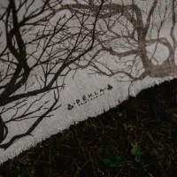 WhatsApp Image 2025-06-06 at 13.00.29 WhatsApp Image 2025-06-06 at 13.00.29