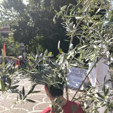 WhatsApp Image 2025-05-31 at 07.12.16 WhatsApp Image 2025-05-31 at 07.12.16