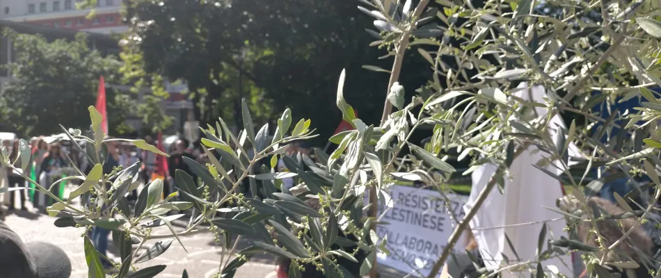 WhatsApp Image 2025-05-31 at 07.12.16 WhatsApp Image 2025-05-31 at 07.12.16