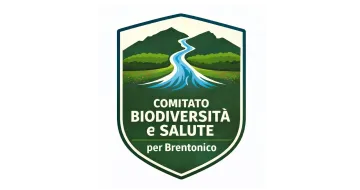 logo Comitato BSB logo Comitato BSB