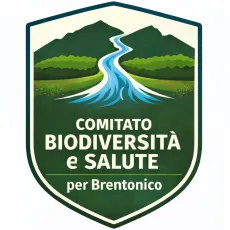 logo Comitato BSB