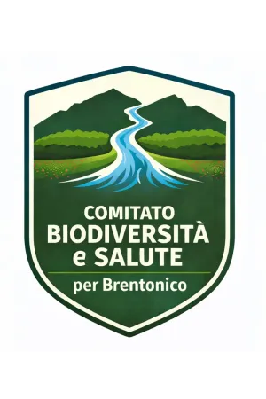 logo Comitato BSB