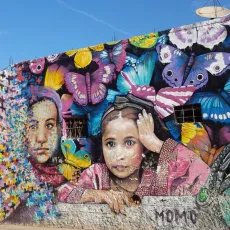 2026-03-07 nofilter-heyho2014-Casablanca-streetart-Woman.-Girl.-Butterflies.-Transformation.-foto-di-Kate-Bunker-da-Flickr.com_-1140x641