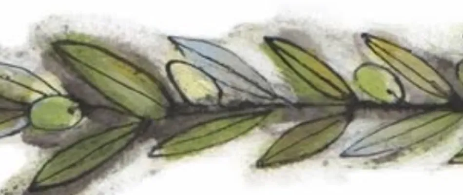 Circolo ARCI Brentonico