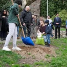 20-300x225 20-300x225