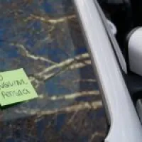 P1050190-min-150x150 P1050190-min-150x150