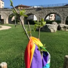 Kaki-giardino-Langer-Trento-2022 Kaki-giardino-Langer-Trento-2022